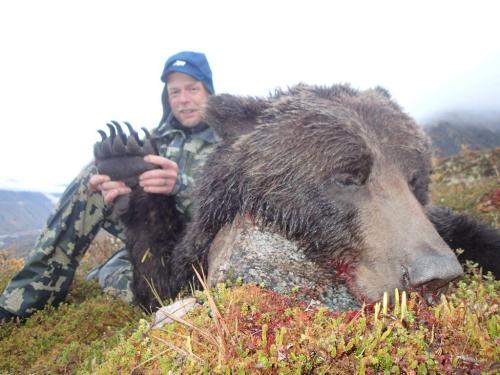 Curt-Shatzer-Alaskan-Brown-Bear