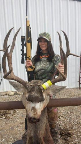Suzies-2015-Montana-Bighole-Mule-Deer-Buck