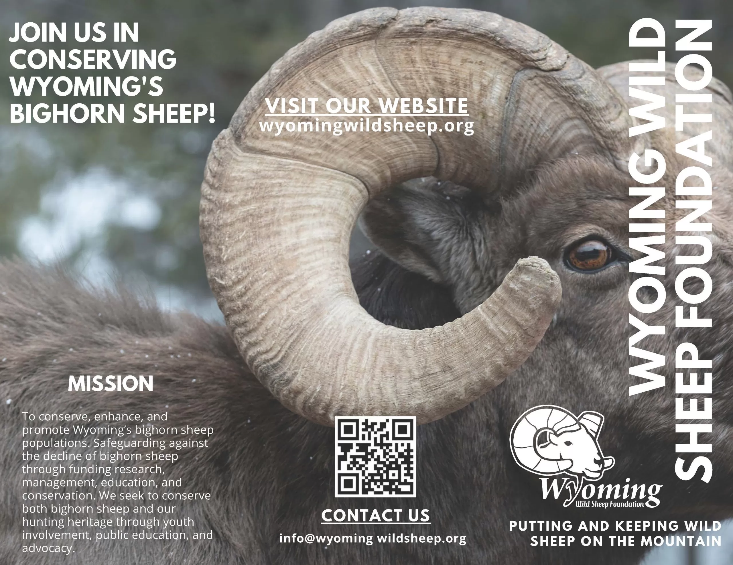 Membership - Image 3