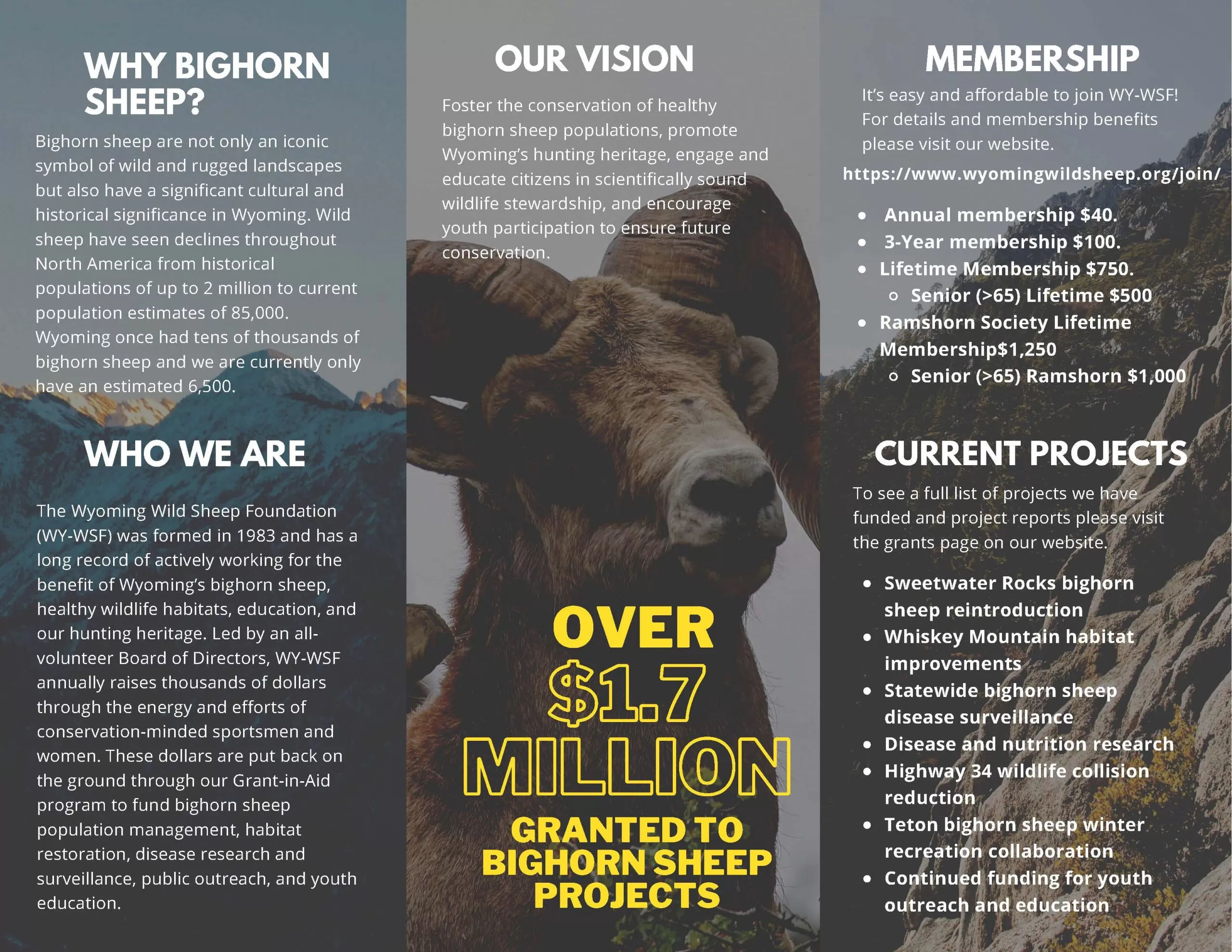 Membership - Image 2