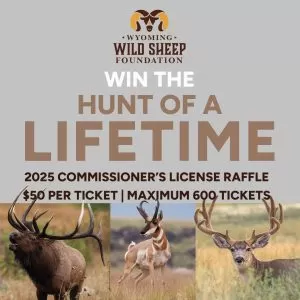Last Chance! 2025 Commissioner's Deer, Elk, Pronghorn License Raffle