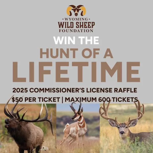 Last Chance! 2025 Commissioner's Deer, Elk, Pronghorn License Raffle