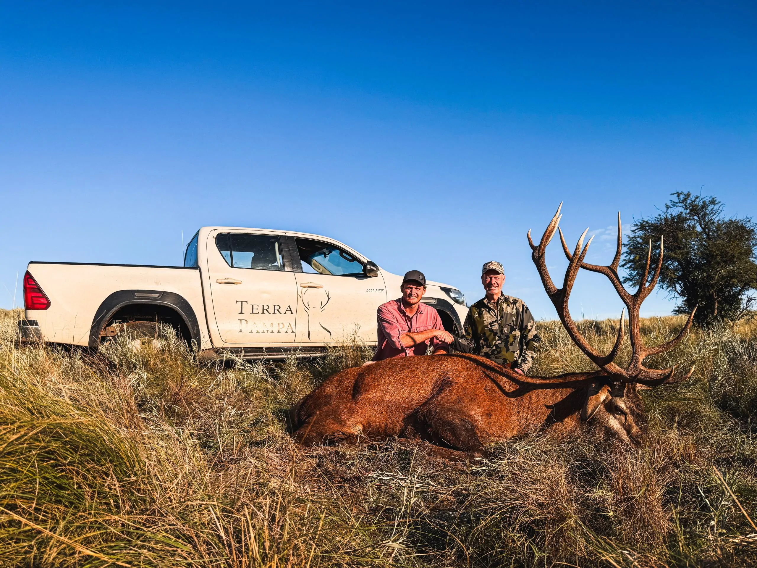 Steve's habitat project