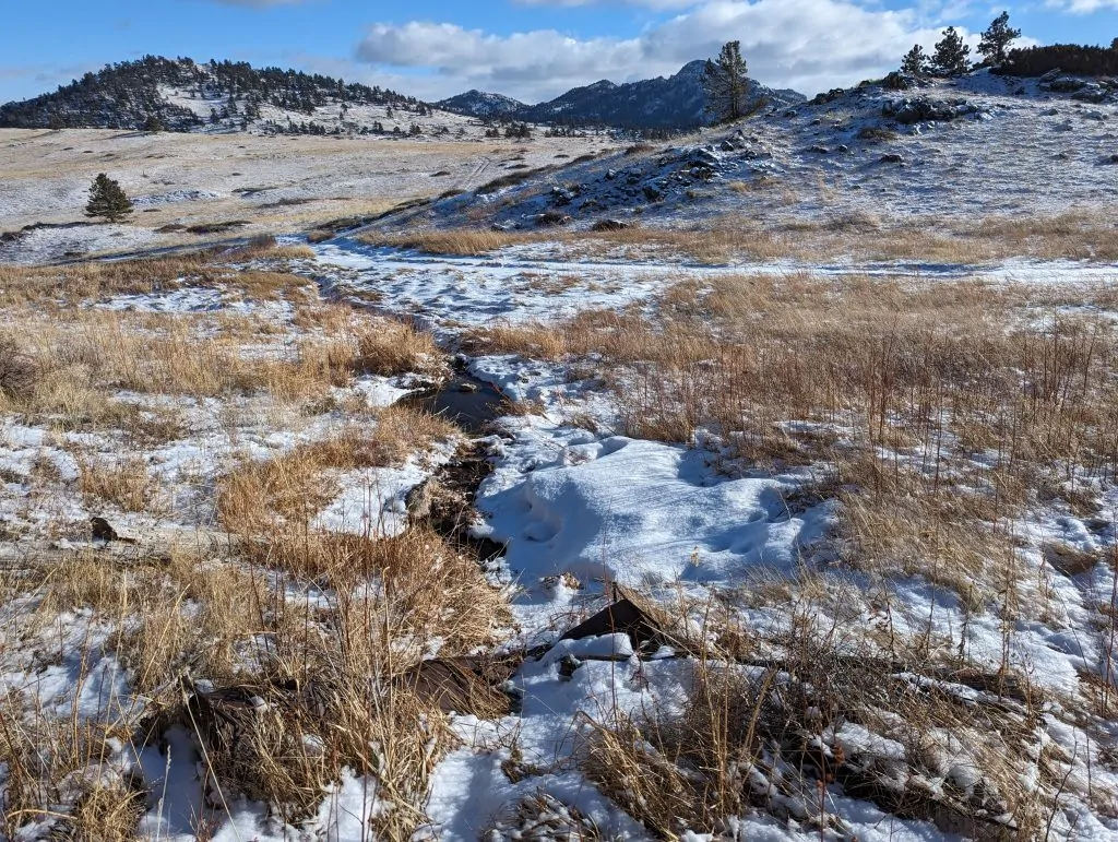 Long Draw_before_Jan 2024